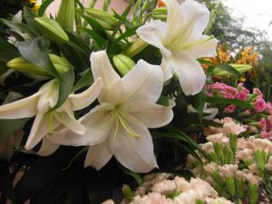 flowers｜「花の福いち」　（福岡県福岡市中央区の花キューピット加盟店 花屋）のブログ