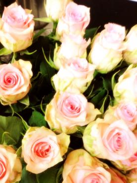 今年初の～｜「花の福いち」　（福岡県福岡市中央区の花キューピット加盟店 花屋）のブログ